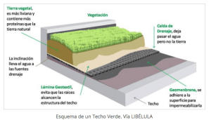 componentes techos verdes