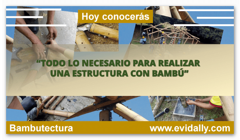  Estructuras del bambu