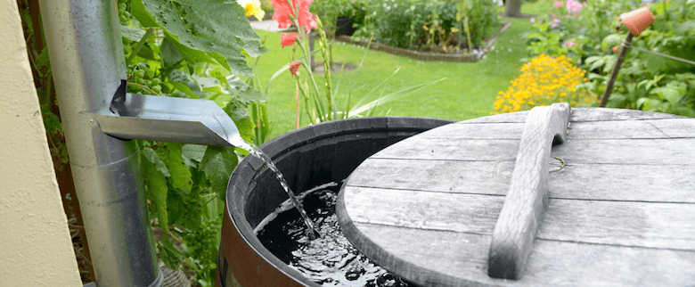 Agua de Lluvia: 7 grandes beneficios de recolectar, almacenar y aprovechar  el agua del cielo - AboutHaus